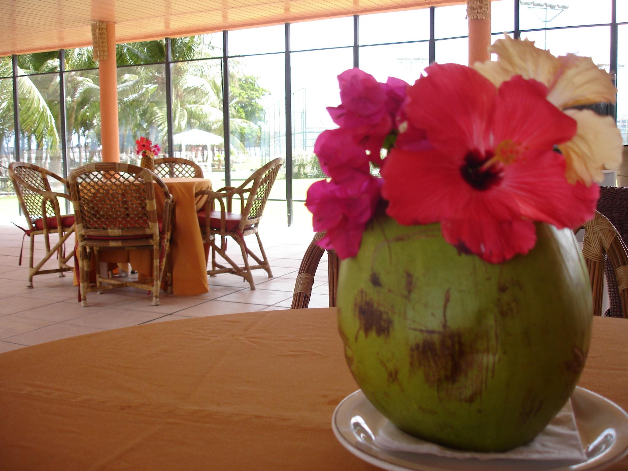 Marina Park Hotel Fortaleza  Zewnętrze zdjęcie A coconut flower